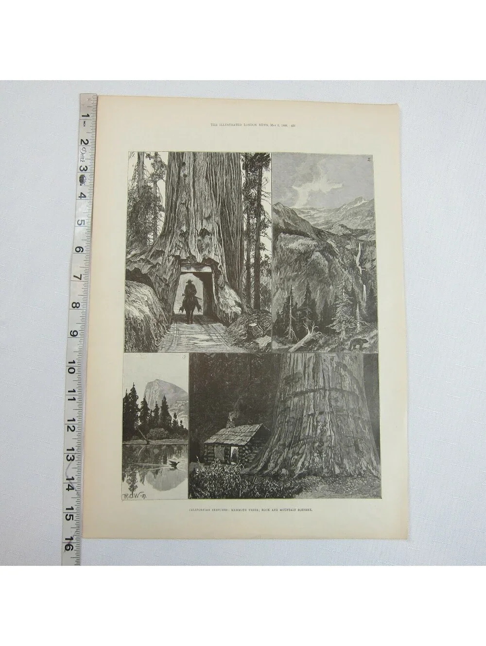 Antique 1888 Print Californian Sketches Mammoth Trees Rocks and Mountain Scenery
